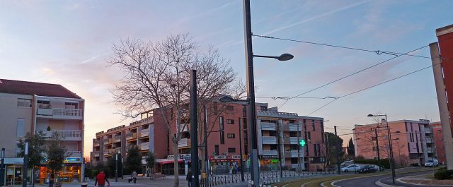 Τουλούζη: Τραυματίες από ΙΧ που έπεσε σε πεζούς