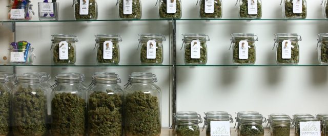 Εκλογές 2020: Νιού Τζέρσι και Αριζόνα ενέκριναν την ψυχαγωγική χρήση μαριχουάνας, η Φλόριντα αύξησε το κατώτερο ωρομίσθιο