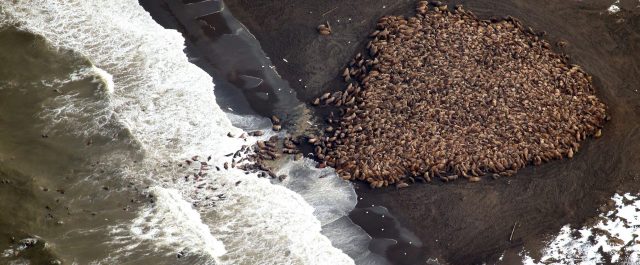 Έφηβοι μηνύουν την πολιτεία της Αλάσκας για την κλιματική αλλαγή – Ένας 19χρονος επικεφαλής
