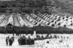 Ερώτηση 61 βουλευτών ΣΥΡΙΖΑ για Μακρόνησο, τι ζητούν