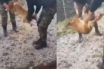Ζητούν συγγνώμη τώρα οι φαντάροι για τη φρίκη με τον βασανισμό σκύλου