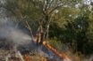 Κεφαλονιά: Νέα πυρκαγιά στα χωριά Πάστρα και Κατελειό – Εκκενώθηκε σχολείο