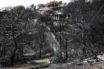 Πόρισμα πραγματογνώμονα για το Μάτι: Η απομάκρυνση των κατοίκων θα μπορούσε να γίνει σε 20 λεπτά!