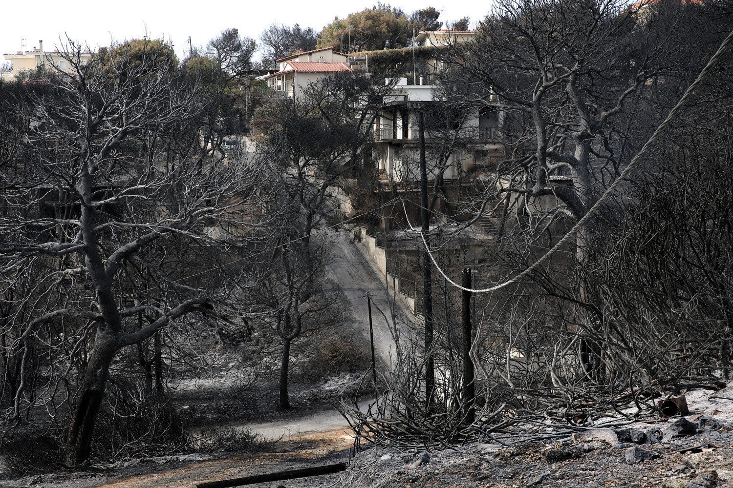 Πόρισμα πραγματογνώμονα για το Μάτι: Η απομάκρυνση των κατοίκων θα μπορούσε να γίνει σε 20 λεπτά!
