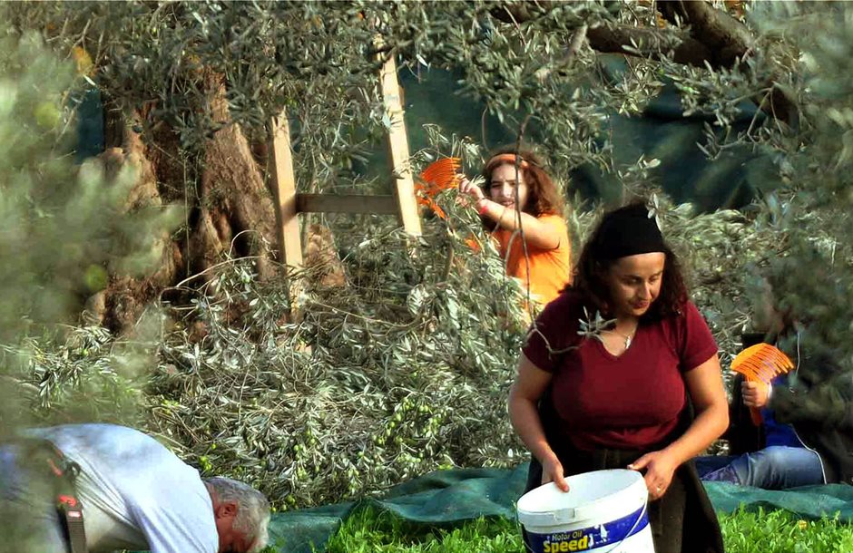 Καταργείται το τέλος επιτηδεύματος 500 ευρώ για τους αγρότες – Σήμερα ψηφίζεται η τροπολογία
