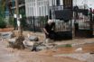 Το πόρισμα για την τραγωδία στη Μάνδρα: Μία θεομηνία χωρίς στοιχειώδη αντιπλημμυρική υποδομή