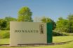 Σκάνδαλο: Η Monsanto “φακέλωνε” δημοσιογράφους και πολιτικούς ανάλογα με τη στάση τους στα φυτοφάρμακα