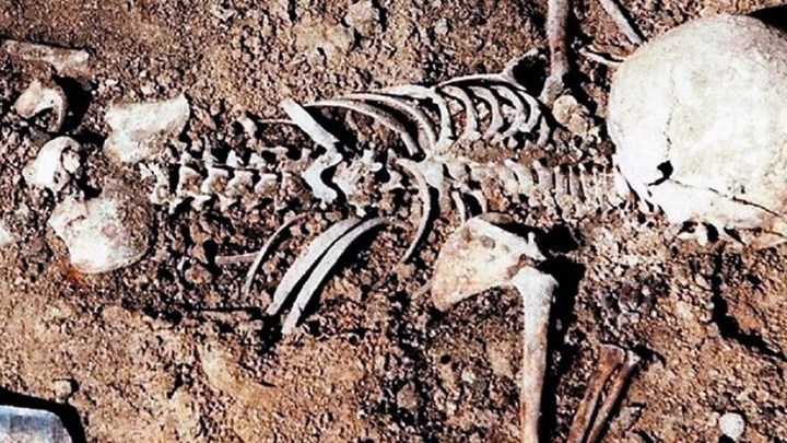 Εύβοια: Βοσκός εντόπισε σκελετό, πιθανόν γυναίκας