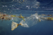WWF: Η Γαλλία είναι ο μεγαλύτερος παραγωγός πλαστικών αποβλήτων στη Μεσόγειο