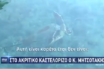 Απίστευτο: Έδεσαν θαλάσσια χελώνα καρέτα – καρέτα για να τη δει ο K. Μητσοτάκης (vid)