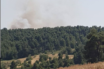Μεγάλη πυρκαγιά σε δασική έκταση στην Εύβοια – Φωτιά και στους Αγίους Θεοδώρους (vid)