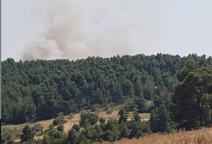 Μεγάλη πυρκαγιά σε δασική έκταση στην Εύβοια – Φωτιά και στους Αγίους Θεοδώρους (vid)
