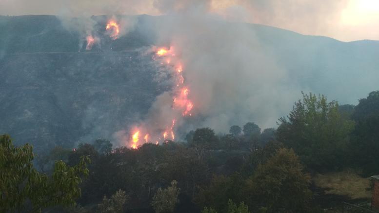 Μαίνεται η φωτιά στην Κύμη Ευβοίας – Εκκενώνονται οικισμοί