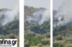 Φωτιά στο Πικέρμι, η αστυνομία απομακρύνει κατοίκους (vid)