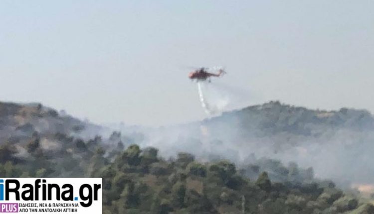 Υπό έλεγχο η φωτιά στο Πικέρμι