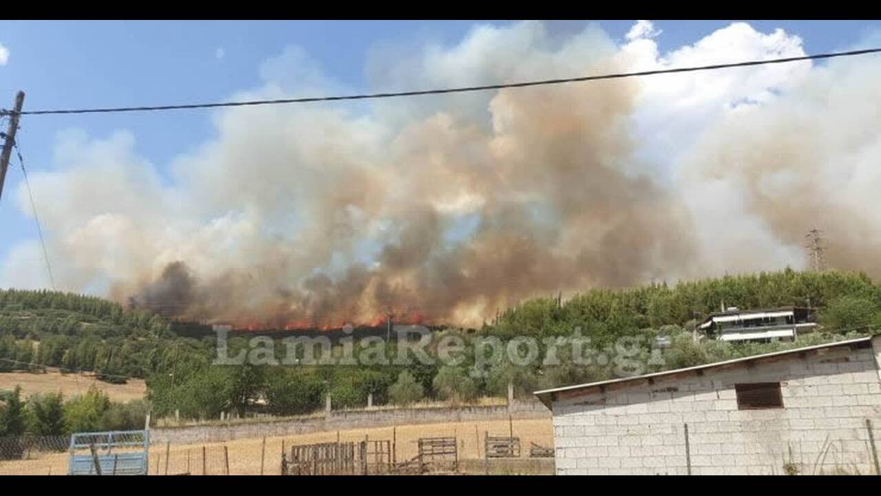Διαστάσεις παίρνει η φωτιά στη Φθιώτιδα – Ενισχύονται οι δυνάμεις της πυροσβεστικής (vid)