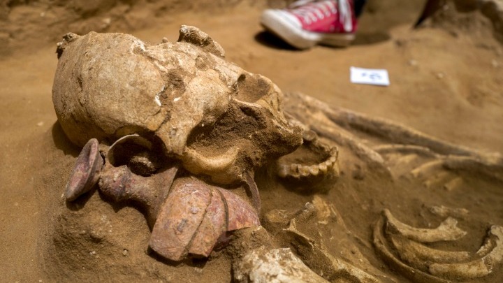 Ο Γολιάθ καταγόταν πιθανότατα από Έλληνες