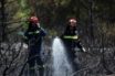 Μεγάλη φωτιά σε κατοικημένη περιοχή στα Μέγαρα- Σε ετοιμότητα οι αρχές