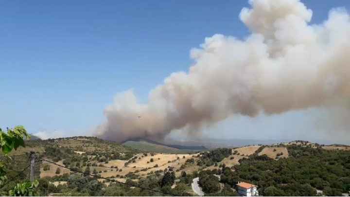 Μεγάλη φωτιά στην Κύμη Ευβοίας – Εκκενώθηκε το Μακρυχώρι (vid)