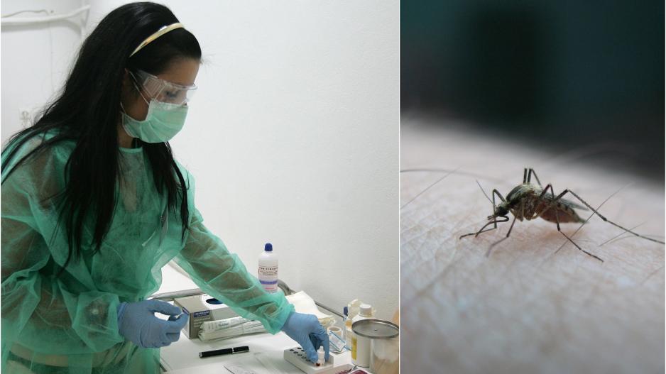 Ο ιός του Δ. Νείλου στα πρόθυρα του αστικού ιστού – Κρούσματα σε&hellip;