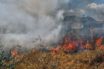 Πενήντα επτά δασικές πυρκαγιές εκδηλώθηκαν το τελευταίο 24ωρο σε όλη την Ελλάδα