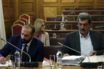Δεν αποχωρούν από την προανακριτική Πολάκης – Τζανακόπουλος