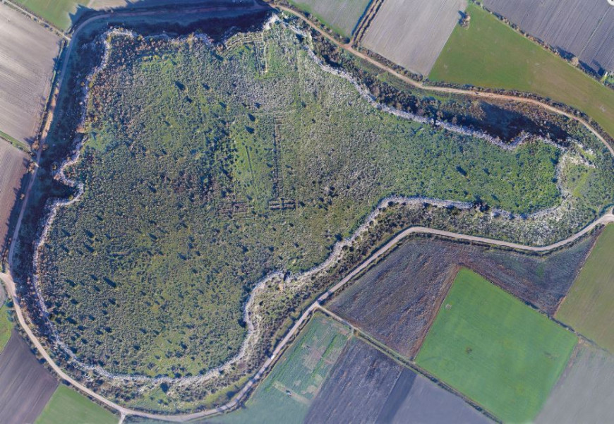 Κωπαΐδα: Ένα σπάνιο αρχαιολογικό εύρημα