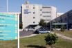 Σκυλιά επιτέθηκαν σε 9χρονο – Νοσηλεύεται με σοβαρά τραύματα