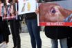Η Ελλάδα μεταξύ των χωρών με τα υψηλότερα ποσοστά κακοποίησης ζώων