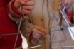 Τρεις ληστείες σε παιδιά που έλεγαν τα κάλαντα στην Αττική