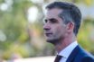 Μπακογιάννης: Το χριστουγεννιάτικο δέντρο στα Εξάρχεια θα ξαναστηθεί (vid)