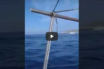 Ίμια: Αθυρόστομος Έλληνας ψαράς “στολίζει” με “γαλλικά” την τουρκική ακτοφυλακή κατά την παρενόχληση του αλιευτικού (vid)