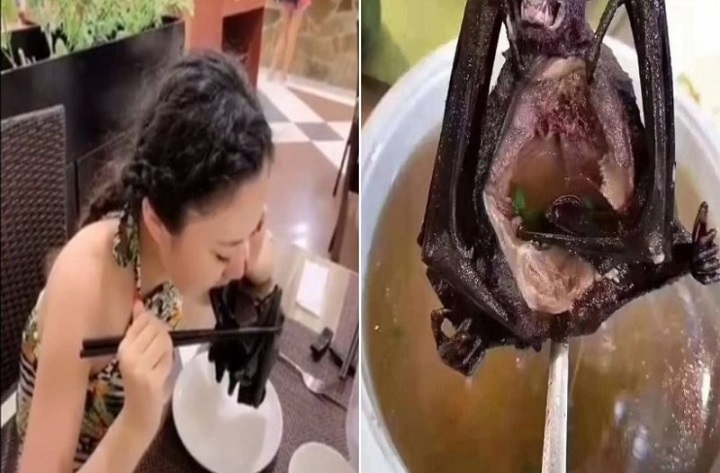 Fake news το βίντεο με την Κινέζα που τρώει νυχτερίδες – Τα κυριότερα ψεύδη για τον κοροναϊό