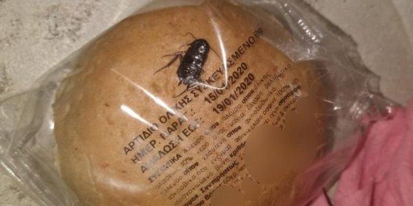 Απίστευτο: Κατσαρίδα σε συσκευασία ψωμιού σε σχολικό catering