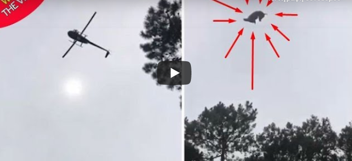 Ουρουγουάη: Πέταξαν γουρούνι από ελικόπτερο σε πισίνα επιχειρηματία… και αυτός το έψησε και το έφαγε (vid)