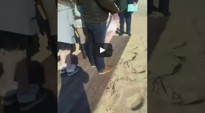 Κεφαλονιά: Ο αέρας έριξε στη θάλασσα τον ιερέα στον καθαγιασμό των υδάτων (vid)
