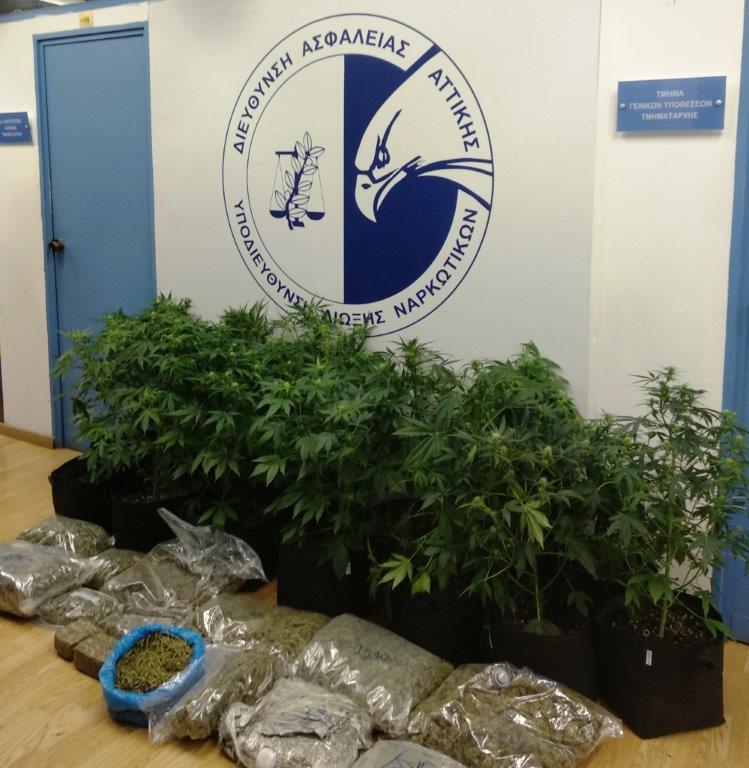 Νέος Κόσμος: Eεργαστήριο υδροπονικής κάνναβης μέσα στο σπίτι τους