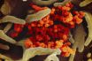 Γερμανία: 128 νεκροί σε ένα 24ωρο και 4.615 επιπλέον κρούσματα