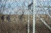 Frontex: Τεχνικός εξοπλισμός και επιπρόσθετες δυνάμεις στην Ελλάδα