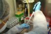 Η FDA των ΗΠΑ ενέκρινε το πρώτο γρήγορο τεστ αντιγόνων