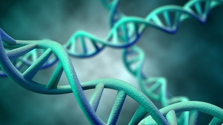 Καθηγητής Γενετικής: Το DNA του ασθενούς συνδέεται με τον Covid 19- Τον Ιούλιο θα μπορέσει ο κόσμος να πάει στη θάλασσα και στα νησιά