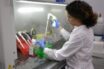 Νέα έρευνα: Μη βασίζεστε στη ζέστη για την εξάλειψη της πανδημίας, προειδοποιούν επιστήμονες