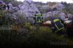 Ανασύρθηκαν 4 νεκροί από σπηλιά στο Λουτράκι – Τι λένε οι πρώτες πληροφορίες (vid)