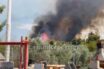 Μεγάλη πυρκαγιά σε πευκόφυτη περιοχή ανάμεσα σε Μαλεσίνα και Θεολόγο (vid)
