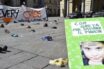 Νέα έκκληση της Γκρέτα Τούνμπεργκ στην ΕΕ να λάβει μέτρα για την κλιματική αλλαγή