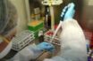 ΕΚΠΑ: Οι νεκροί από Covid 19 ίσως είναι περισσότεροι – Πότε θα είναι έτοιμο το εμβόλιο