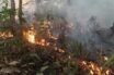 Βραζιλία: Φλέγεται και πάλι ο Αμαζόνιος