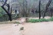 Αγρίνιο: Μεγάλες καταστροφές από την κακοκαιρία – Να κηρυχθεί σε κατάσταση έκτακτης ανάγκης ο δήμος ζητά ο Δήμαρχος (video)