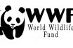 WWF: 430 εκατ. στρέμματα δασών χάθηκαν σε 13 χρόνια – Έκταση μιας χώρας όπως το Ιράκ