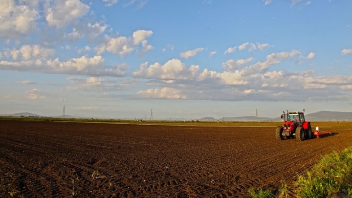 Οι άξονες που θα υποστηρίξουν την αγροτική παραγωγή της χώρας